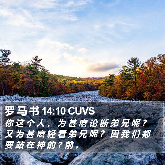 罗 马 书 14:10 CUVS Bible Study