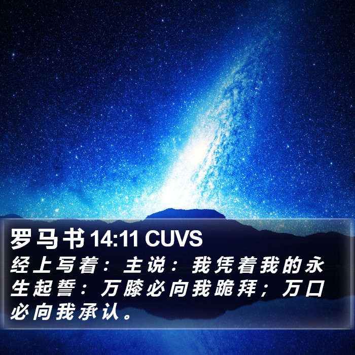 罗 马 书 14:11 CUVS Bible Study