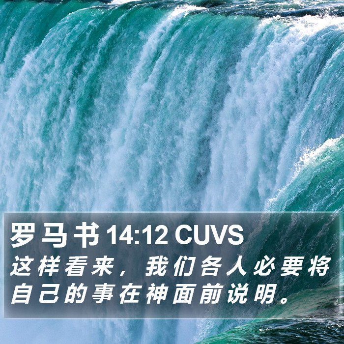 罗 马 书 14:12 CUVS Bible Study