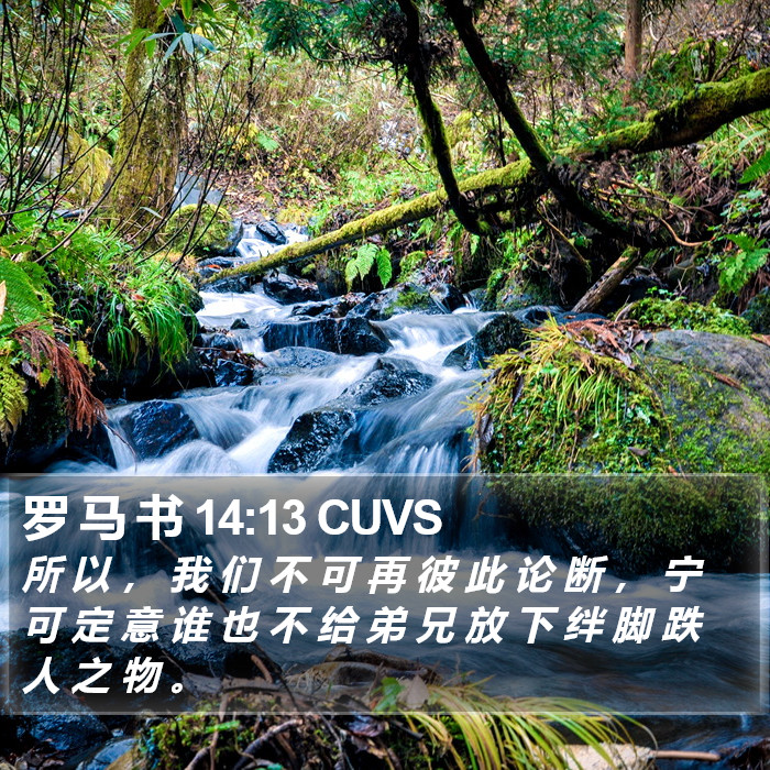 罗 马 书 14:13 CUVS Bible Study