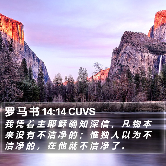 罗 马 书 14:14 CUVS Bible Study