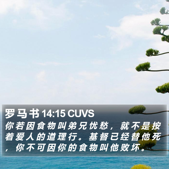 罗 马 书 14:15 CUVS Bible Study