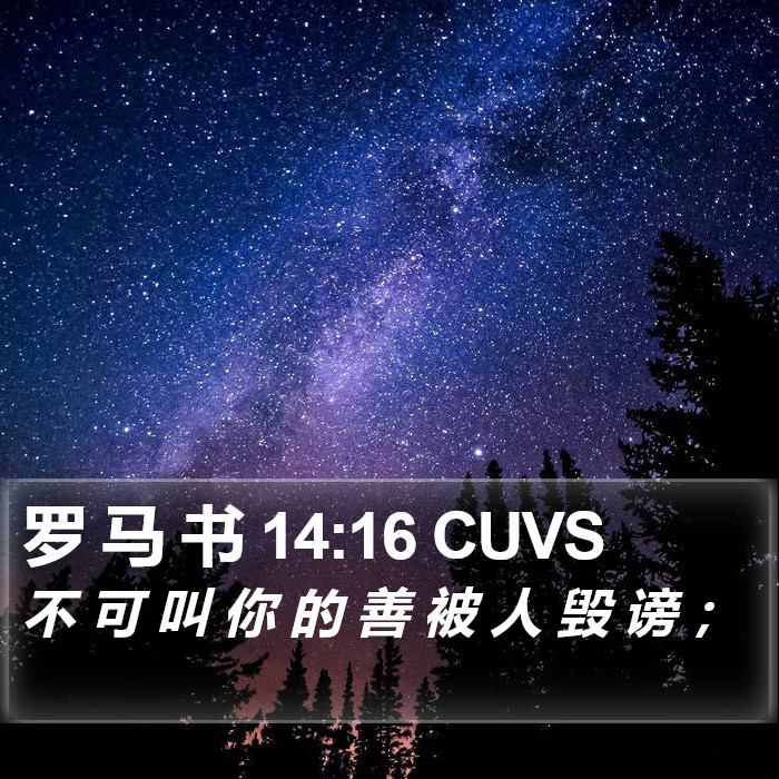 罗 马 书 14:16 CUVS Bible Study