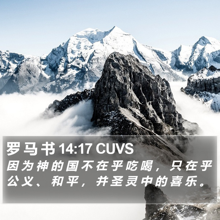 罗 马 书 14:17 CUVS Bible Study