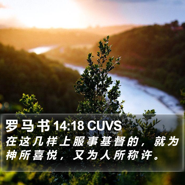 罗 马 书 14:18 CUVS Bible Study