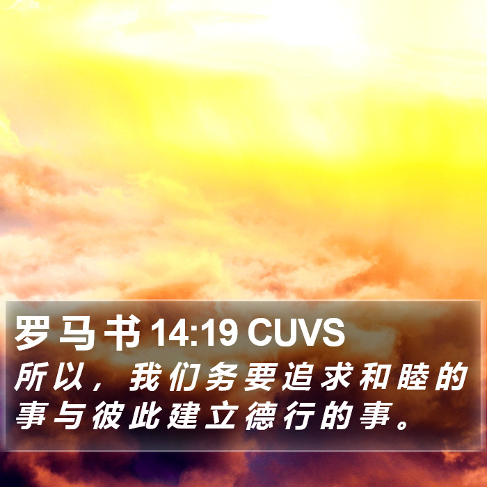 罗 马 书 14:19 CUVS Bible Study