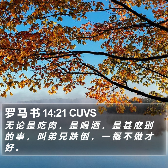 罗 马 书 14:21 CUVS Bible Study