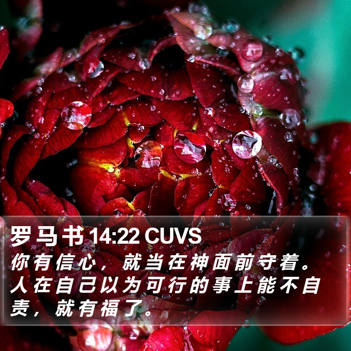 罗 马 书 14:22 CUVS Bible Study