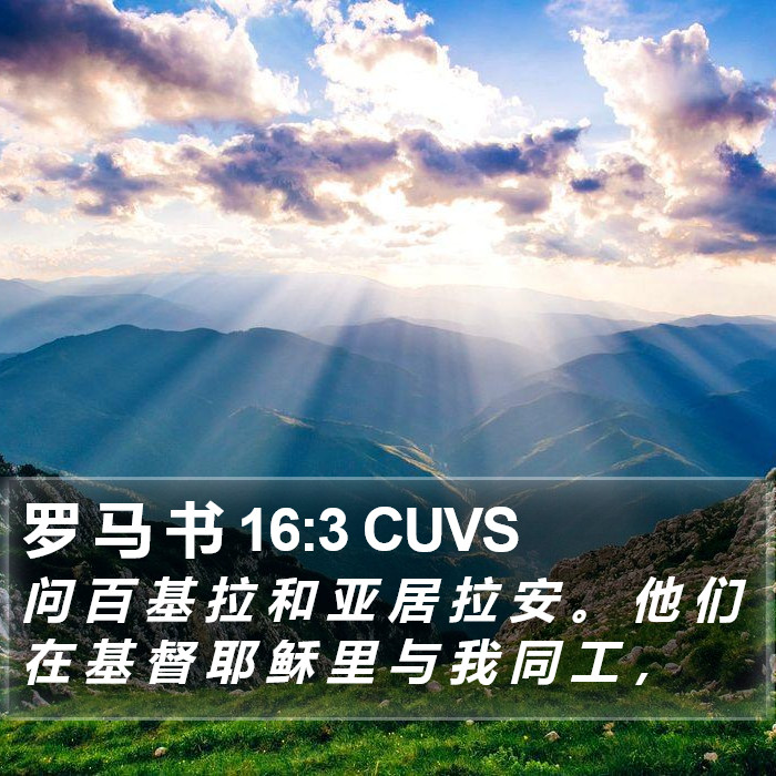 罗 马 书 16:3 CUVS Bible Study