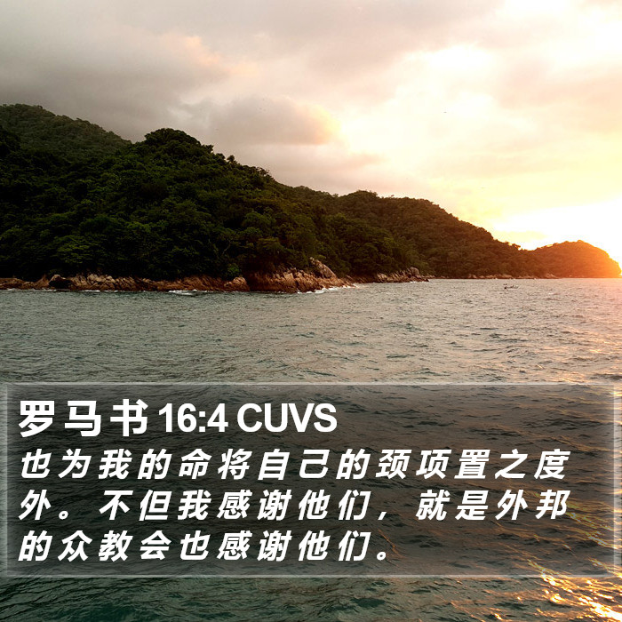 罗 马 书 16:4 CUVS Bible Study