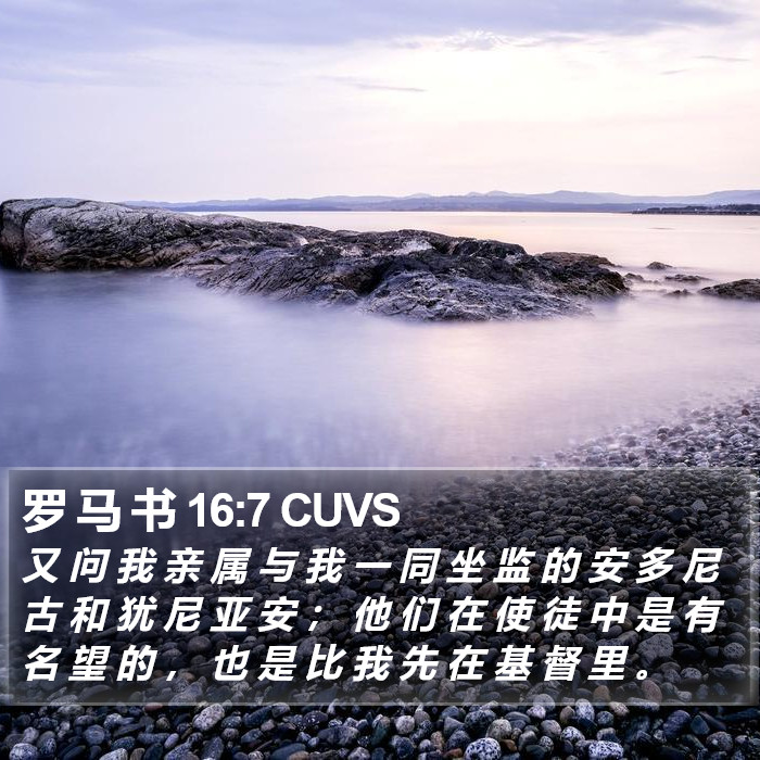 罗 马 书 16:7 CUVS Bible Study