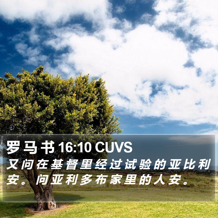 罗 马 书 16:10 CUVS Bible Study