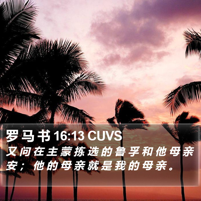 罗 马 书 16:13 CUVS Bible Study