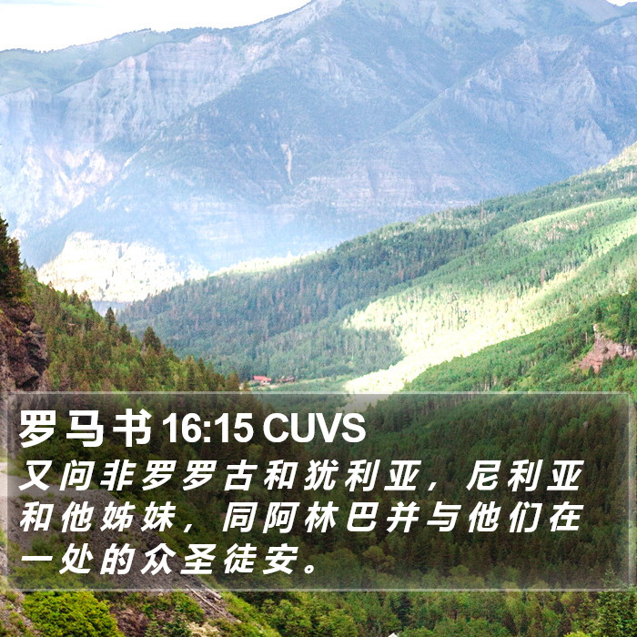 罗 马 书 16:15 CUVS Bible Study