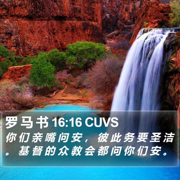 罗 马 书 16:16 CUVS Bible Study