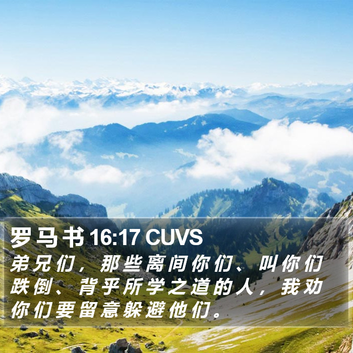 罗 马 书 16:17 CUVS Bible Study