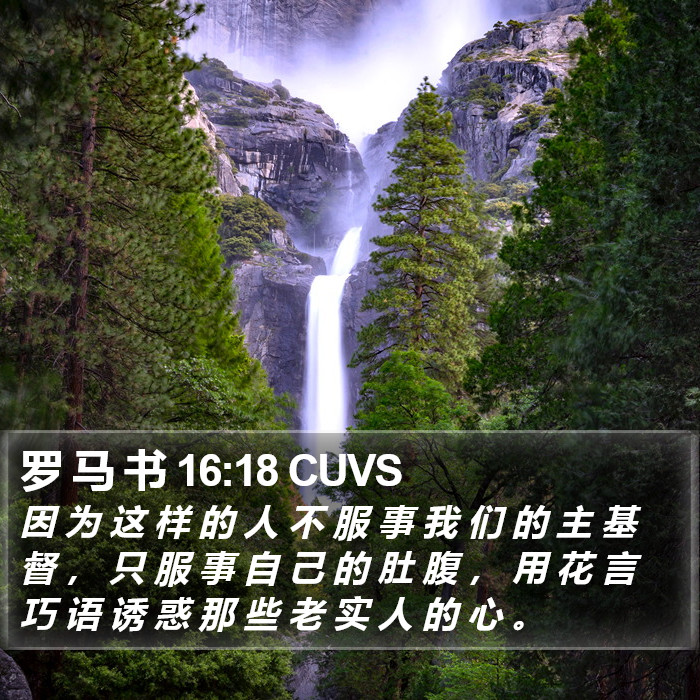 罗 马 书 16:18 CUVS Bible Study