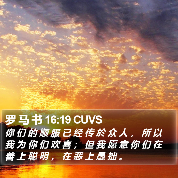 罗 马 书 16:19 CUVS Bible Study