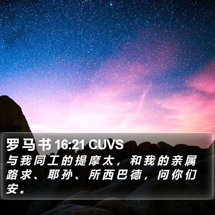 罗 马 书 16:21 CUVS Bible Study