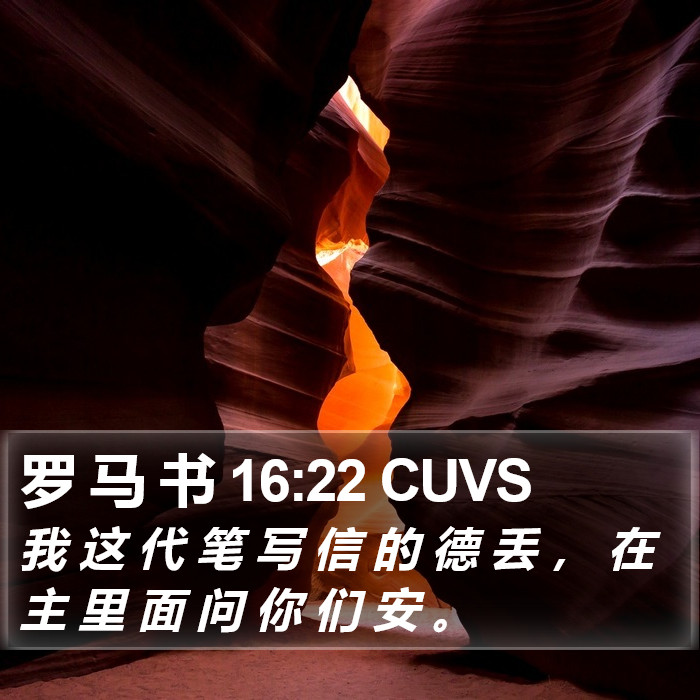 罗 马 书 16:22 CUVS Bible Study