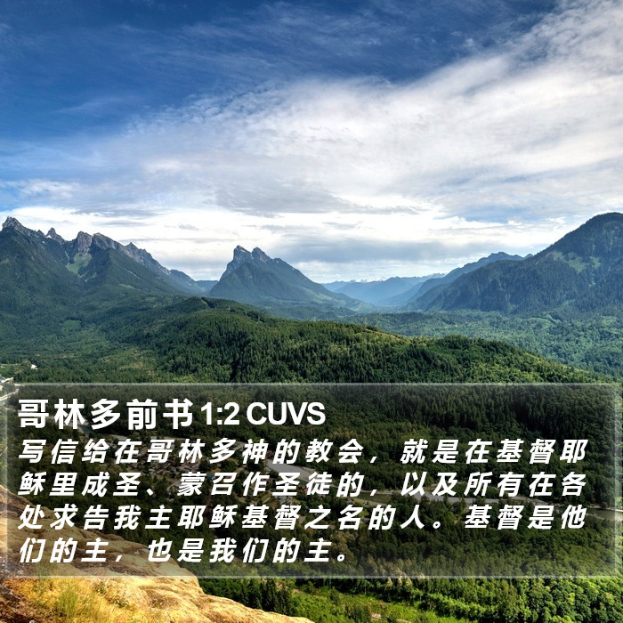 哥 林 多 前 书 1:2 CUVS Bible Study