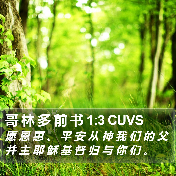 哥 林 多 前 书 1:3 CUVS Bible Study