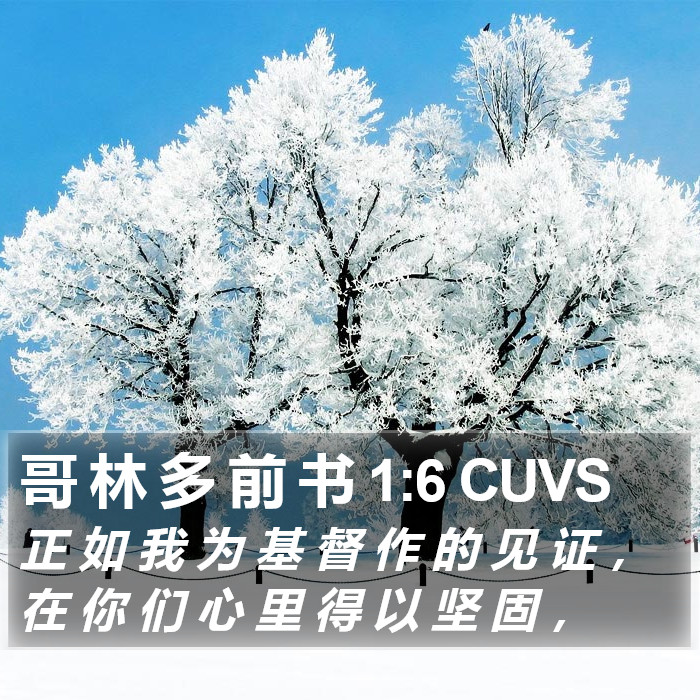 哥 林 多 前 书 1:6 CUVS Bible Study