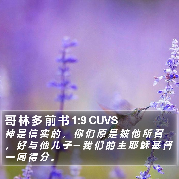 哥 林 多 前 书 1:9 CUVS Bible Study