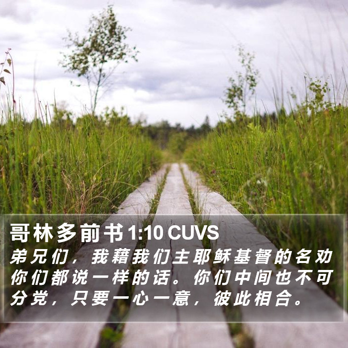 哥 林 多 前 书 1:10 CUVS Bible Study