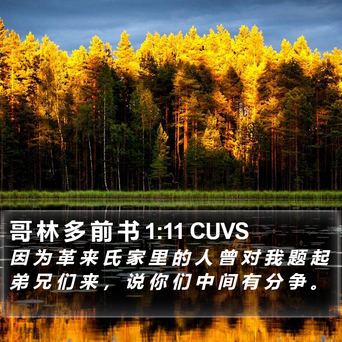 哥 林 多 前 书 1:11 CUVS Bible Study