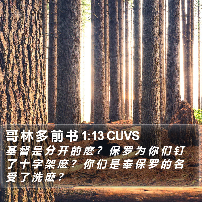 哥 林 多 前 书 1:13 CUVS Bible Study