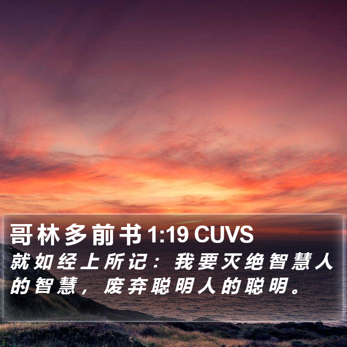 哥 林 多 前 书 1:19 CUVS Bible Study