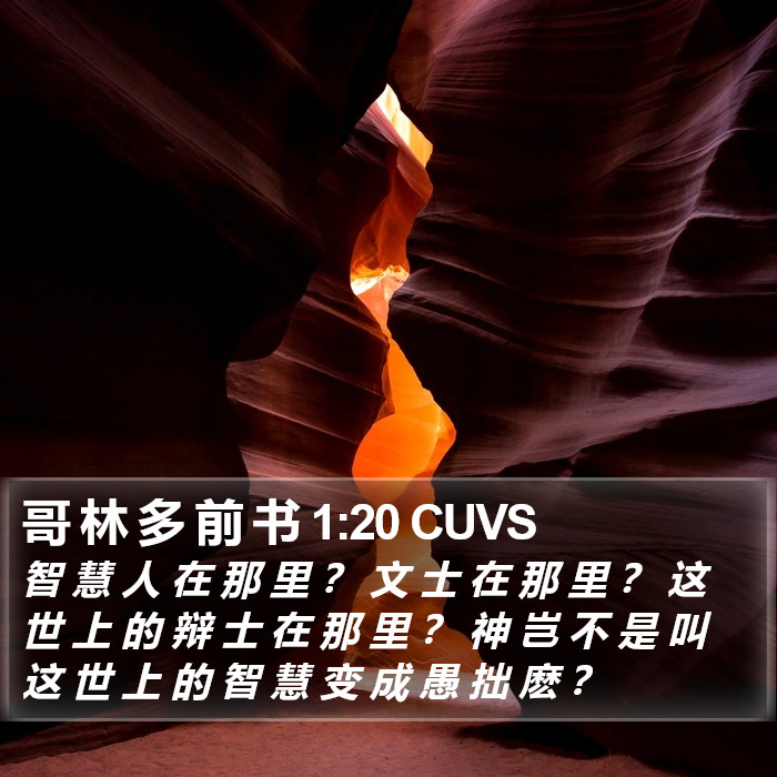 哥 林 多 前 书 1:20 CUVS Bible Study