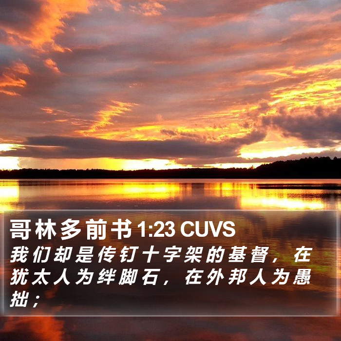 哥 林 多 前 书 1:23 CUVS Bible Study