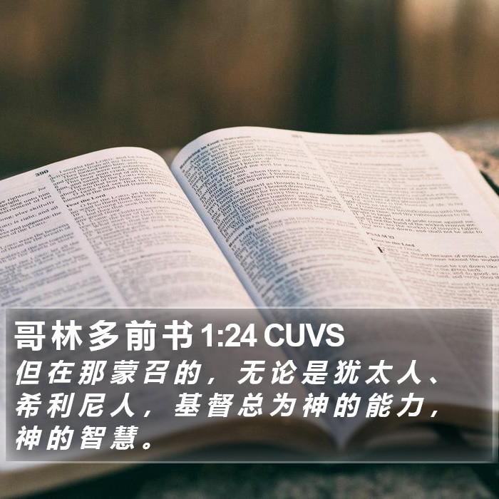 哥 林 多 前 书 1:24 CUVS Bible Study