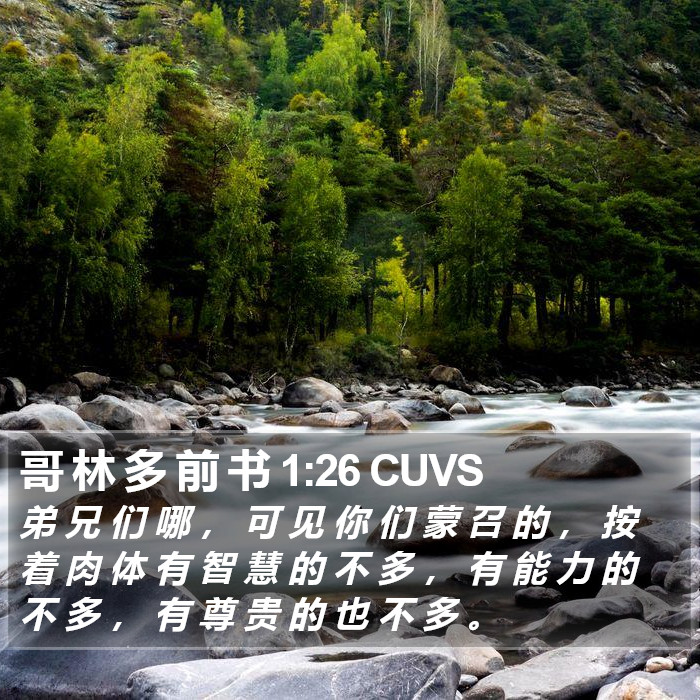 哥 林 多 前 书 1:26 CUVS Bible Study