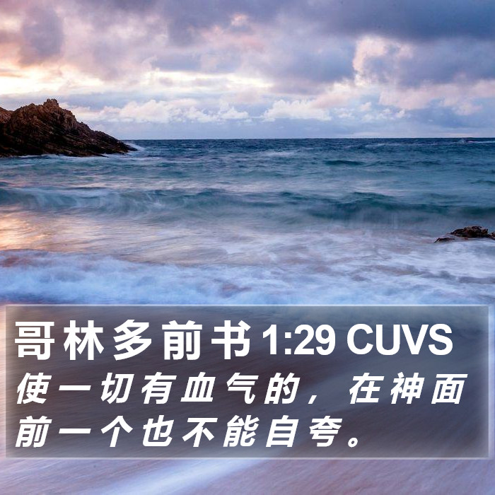 哥 林 多 前 书 1:29 CUVS Bible Study