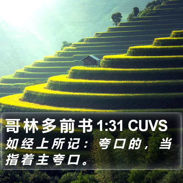 哥 林 多 前 书 1:31 CUVS Bible Study