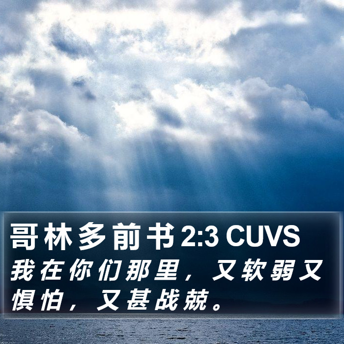 哥 林 多 前 书 2:3 CUVS Bible Study