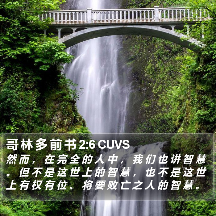 哥 林 多 前 书 2:6 CUVS Bible Study