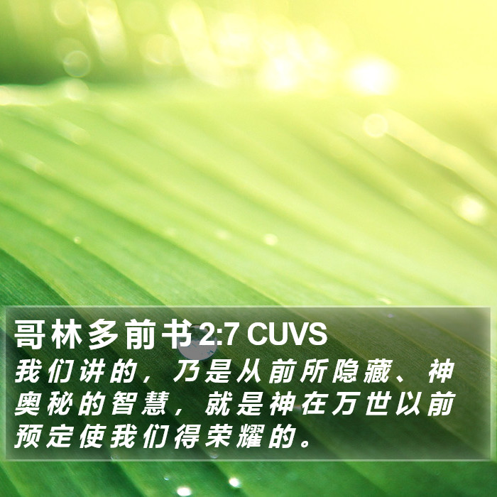 哥 林 多 前 书 2:7 CUVS Bible Study