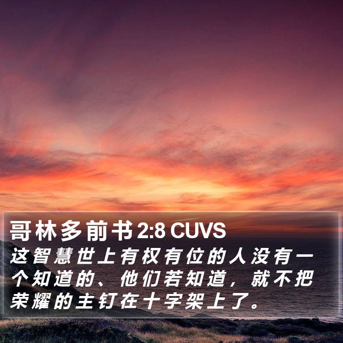 哥 林 多 前 书 2:8 CUVS Bible Study