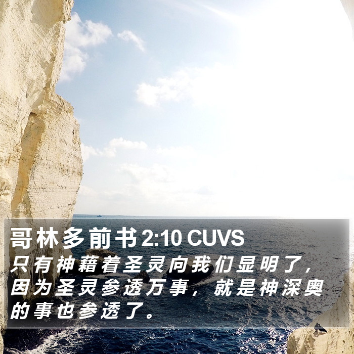 哥 林 多 前 书 2:10 CUVS Bible Study