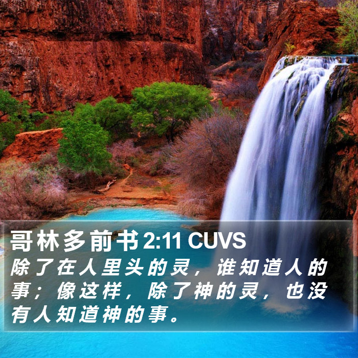 哥 林 多 前 书 2:11 CUVS Bible Study