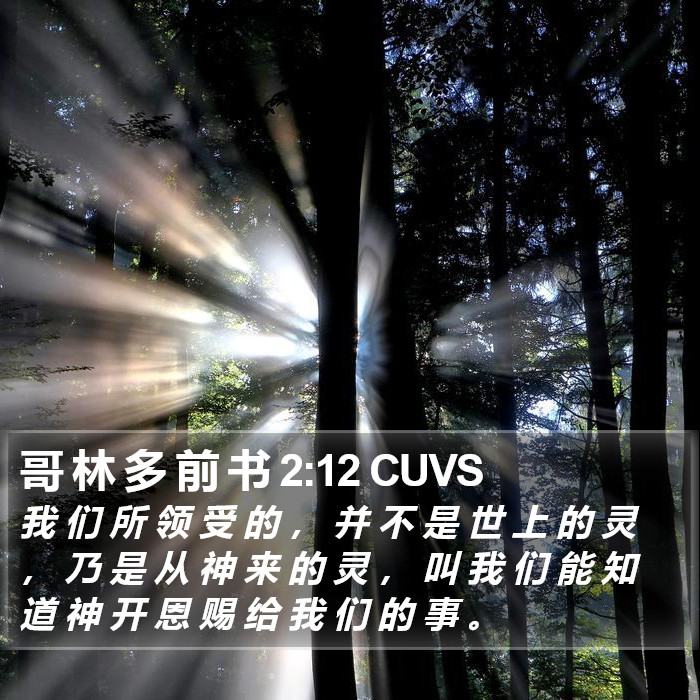 哥 林 多 前 书 2:12 CUVS Bible Study