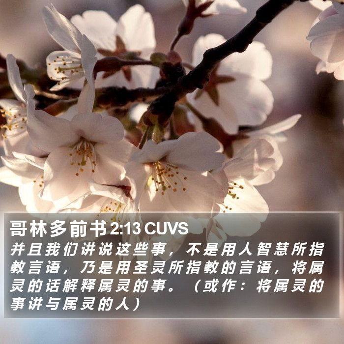 哥 林 多 前 书 2:13 CUVS Bible Study