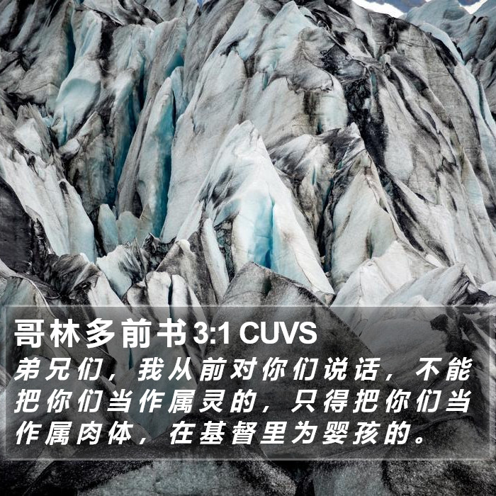 哥 林 多 前 书 3:1 CUVS Bible Study