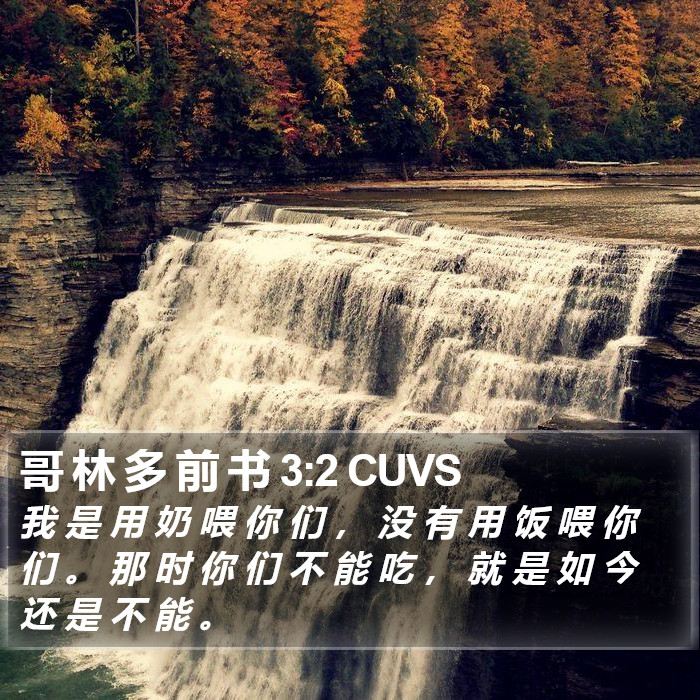 哥 林 多 前 书 3:2 CUVS Bible Study