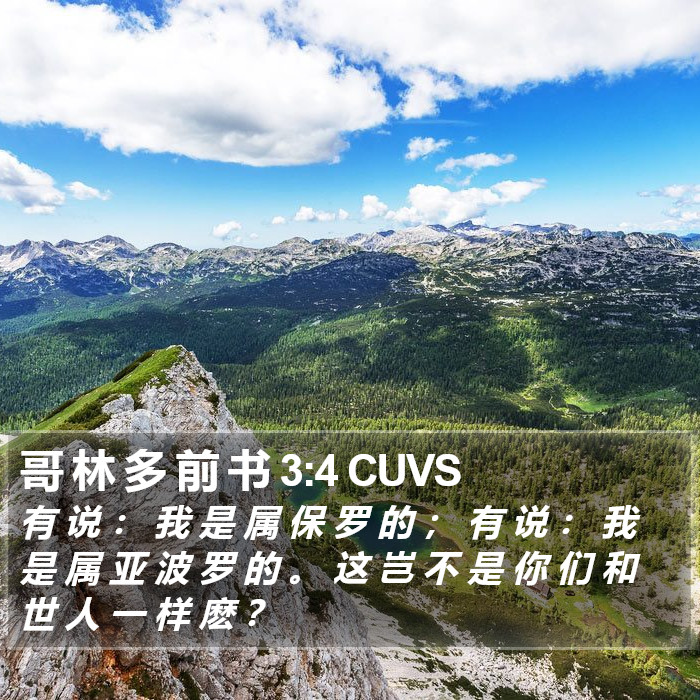 哥 林 多 前 书 3:4 CUVS Bible Study