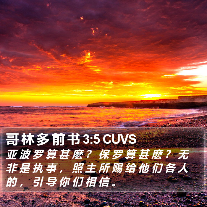 哥 林 多 前 书 3:5 CUVS Bible Study